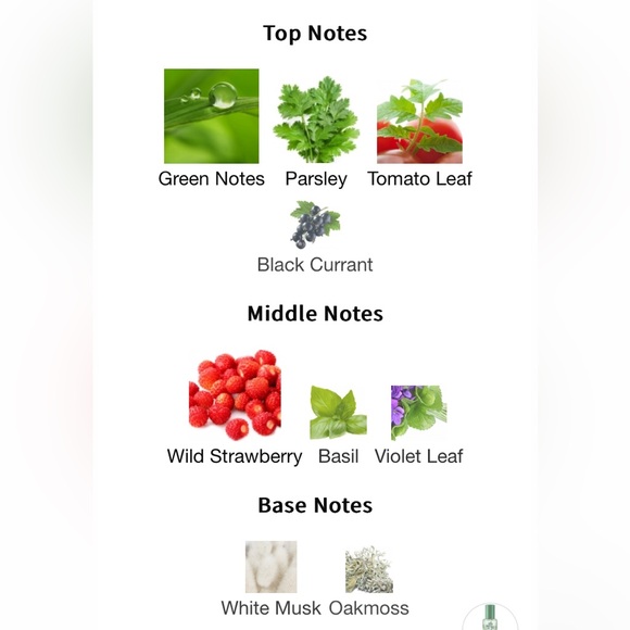 Oil Perfumery Jo Malone Wild Strawberry and Parsley fragrance oil - Picture 4 of 4